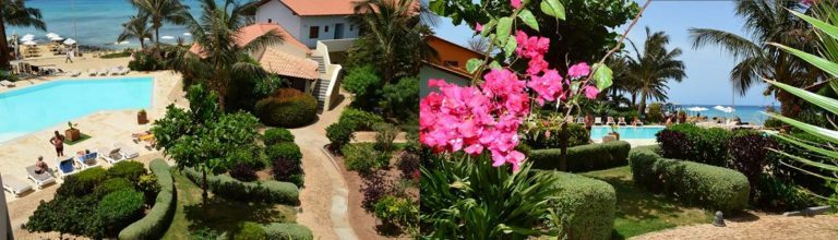 Appartementen Gest Plain